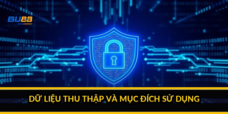 Dữ liệu thu thập và mục đích sử dụng