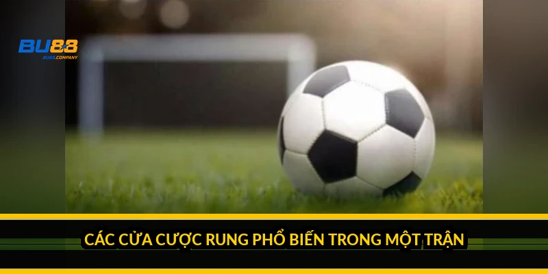 Kèo rung bóng đá là gì và cách cược theo diễn biến trận 2026 Các cửa cược rung phổ biến trong một trận