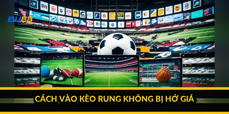 Kèo rung bóng đá là gì và cách cược theo diễn biến trận 2026 Cách vào kèo rung không bị hớ giá